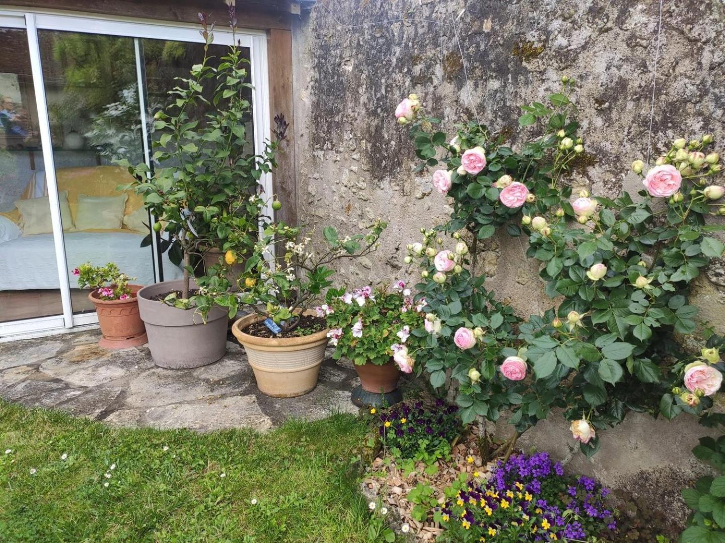 Hotel Le Relais de l'Ormeau - Lussault sur Loire au cœur de la Touraine Extérieur photo